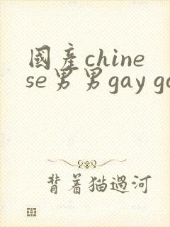 国产chinese男男gay gay网站