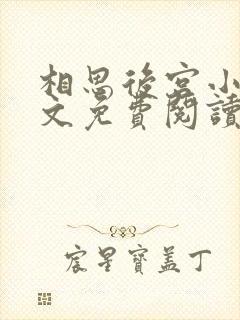 相思后宫小说全文免费阅读