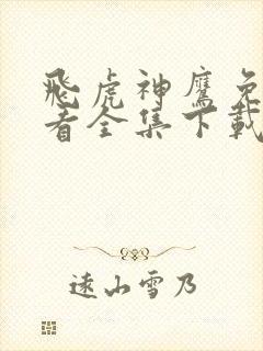 飞虎神鹰免费观看全集下载