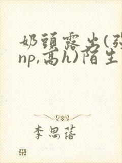 奶头露出(强jnp,高h)陌生人小说封面