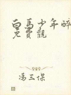 白马少年醉春风免费观