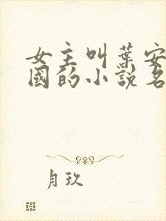 女主叫叶安叶卫国的小说名字