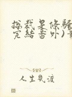 总裁是条骚狗(完结番外)笔趣阁小说