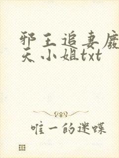 邪王追妻废材逆天小姐txt