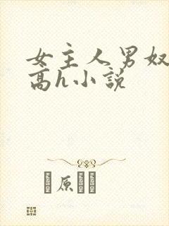 女主人男奴调教高h小说