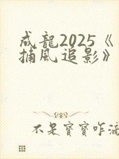 成龙2025《捕风追影》电影免费观看