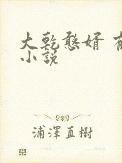 大乾憨婿 有声小说