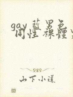 gay 蓝男色 同性 裸体男模