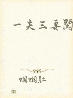 一夫三妻阅读