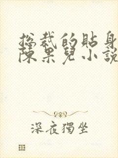 总裁的贴身秘书陈果儿小说大结局封面
