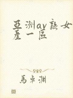 亚洲av熟女国产一区