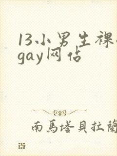 13小男生裸体gay网站