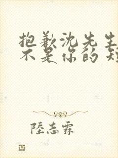 抱歉沈先生孩子不是你的 短剧