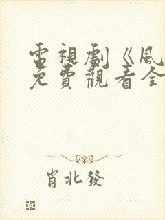 电视剧《风云》免费观看全集封面