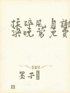 揉碎风月谢译桥梁晚莺免费笔趣阁