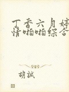 丁香六月婷婷激情啪啪综合