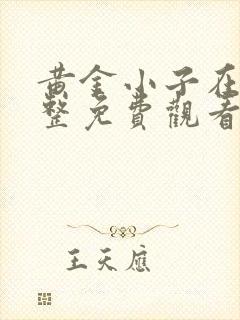 黄金小子在线完整免费观看高清