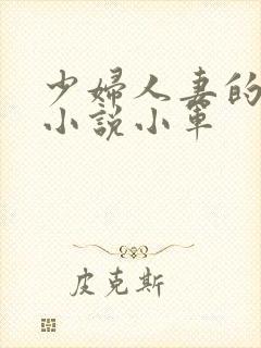 少妇人妻的欲望小说小军