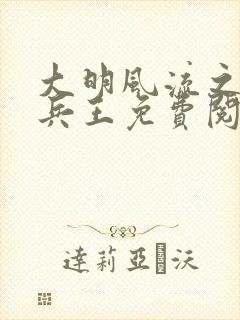 大明风流之铁血兵王免费阅读封面