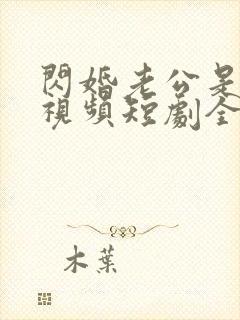 闪婚老公是总裁视频短剧全集