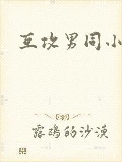 互攻男同小说