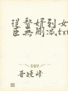 从赘婿到女帝宠臣无删减txt
