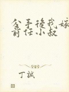 分手后我嫁给了前任小叔