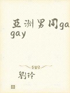 亚洲男同gaygay封面