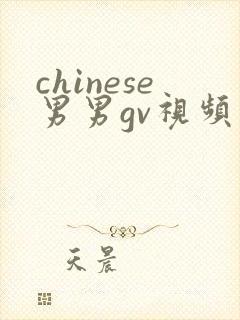 chinese男男gv视频封面