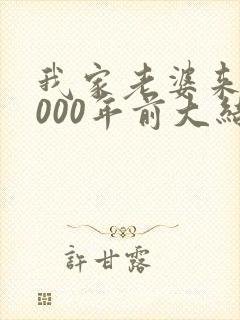 我家老婆来自1000年前大结局
