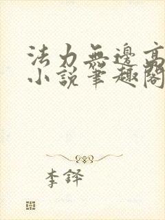 法力无边高大仙小说笔趣阁封面