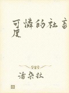 可怜的社畜 东度