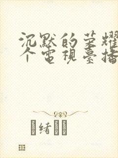 沉默的荣耀在哪个电视台播放呢