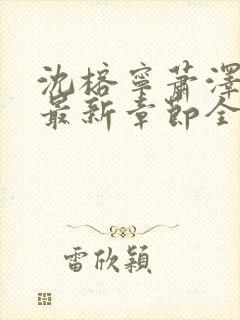 沈榕宁萧泽小说最新章节全文阅读