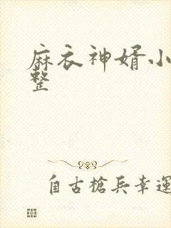 麻衣神婿小说完整