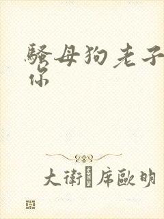 骚母狗老子操死你