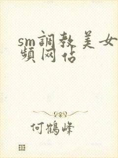 sm调教美女视频网站封面