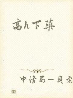 高h下药封面