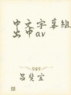中文字幕组人妻出中av