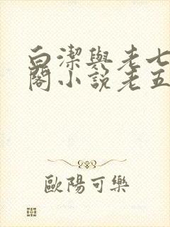 白洁与老七笔趣阁小说老五