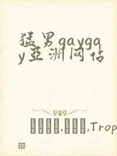 猛男gaygay亚洲网站