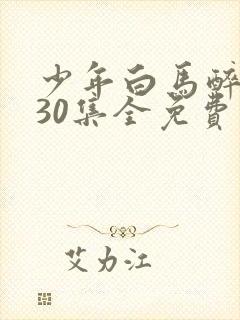 少年白马醉春风30集全免费观看