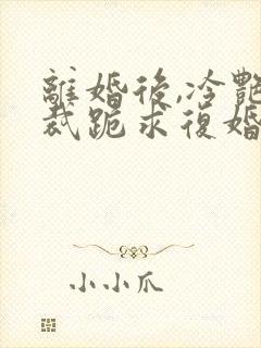 离婚后,冷艳总裁跪求复婚全文免费阅读