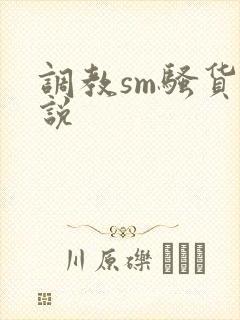 调教sm骚货小说封面