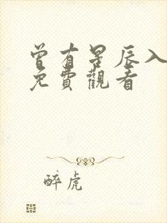 曾有星辰入我梦免费观看封面