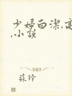 少妇白洁,高义,小说封面