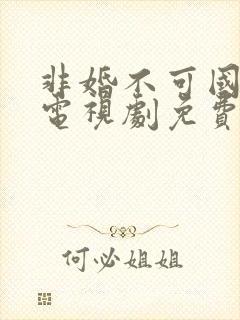 非婚不可国语版电视剧免费观看
