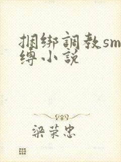 捆绑调教sm束缚小说封面