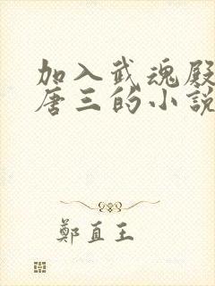 加入武魂殿吊打唐三的小说