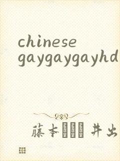 chinesegaygaygayhd